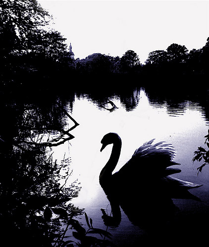 silhouet (© erard swannet)