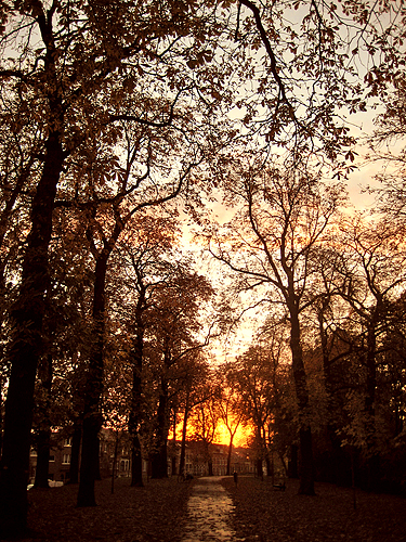 zonsondergang (© lucie van hove)