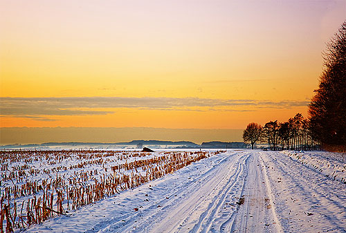 winter (© hilde ghesquiere)
